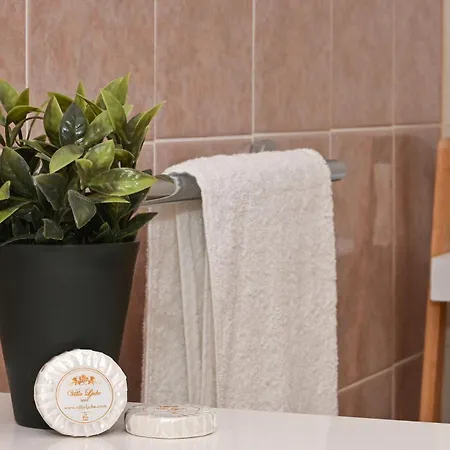 公寓 With Parking Space Okrug Gornji, Ciovo - 12293 特罗吉尔